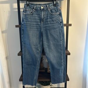 American Eagle Curvy Mom Jean